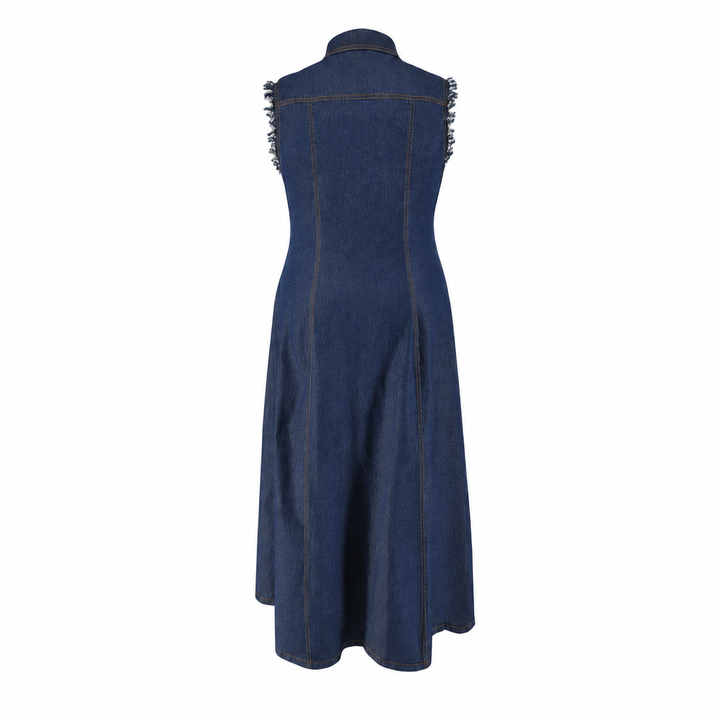 Liora | Plus Size Denim Dress